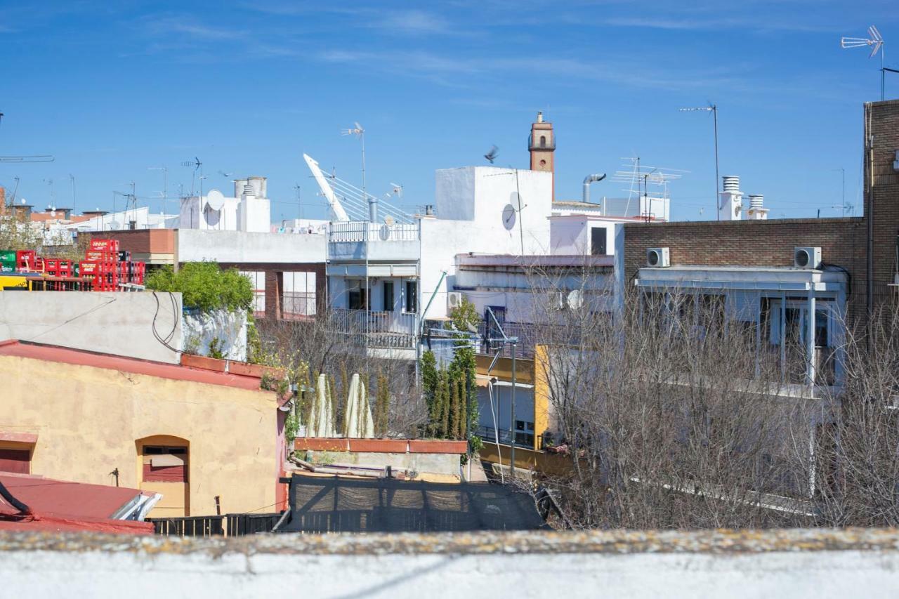 Alohamundi Alameda, Seville